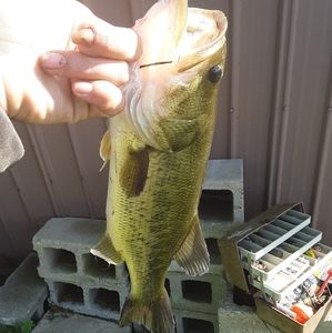 Meet your Posher, Caleb